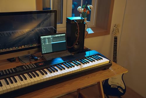 88 Keys Weighted Hammer-Action Digital Piano with Stand & Sustain Pedal X951927