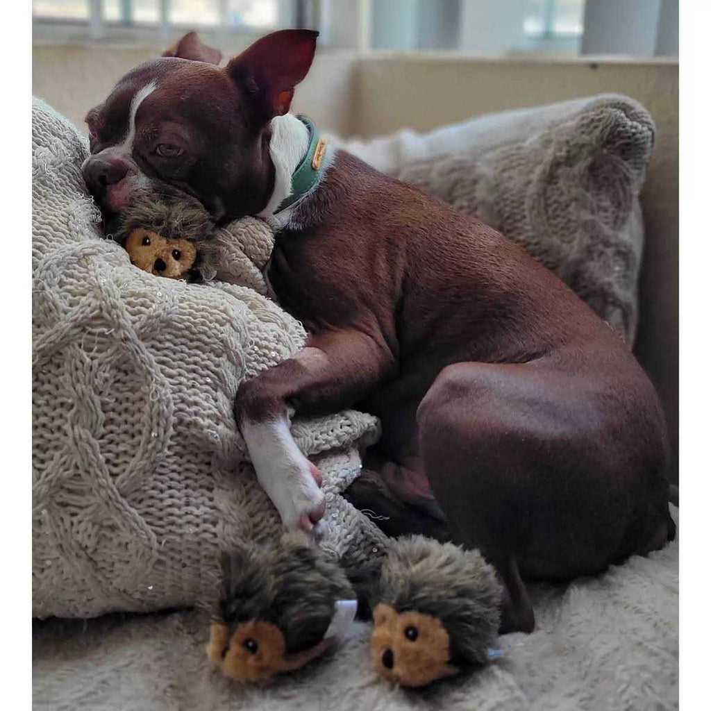 Dog Toys N79899