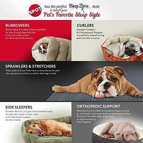 Quilted Oval Cuddler Bed O79571