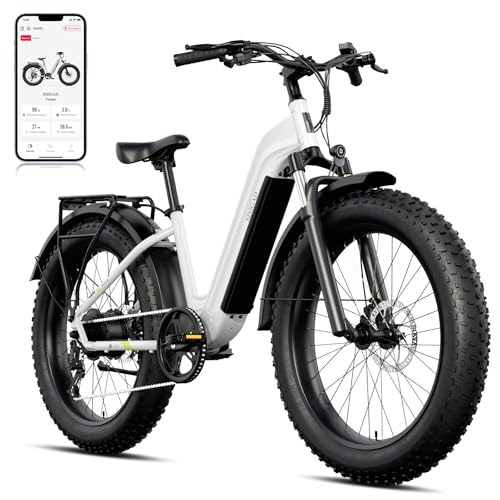 1200 W Electric Bike with 48V Battery and 26" Fat Tire P4473