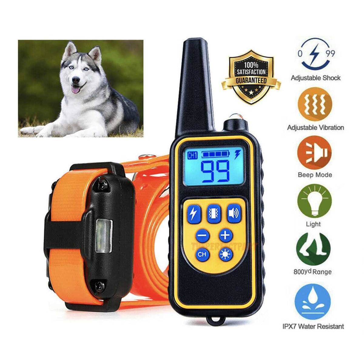 Dog Training Collar J219
