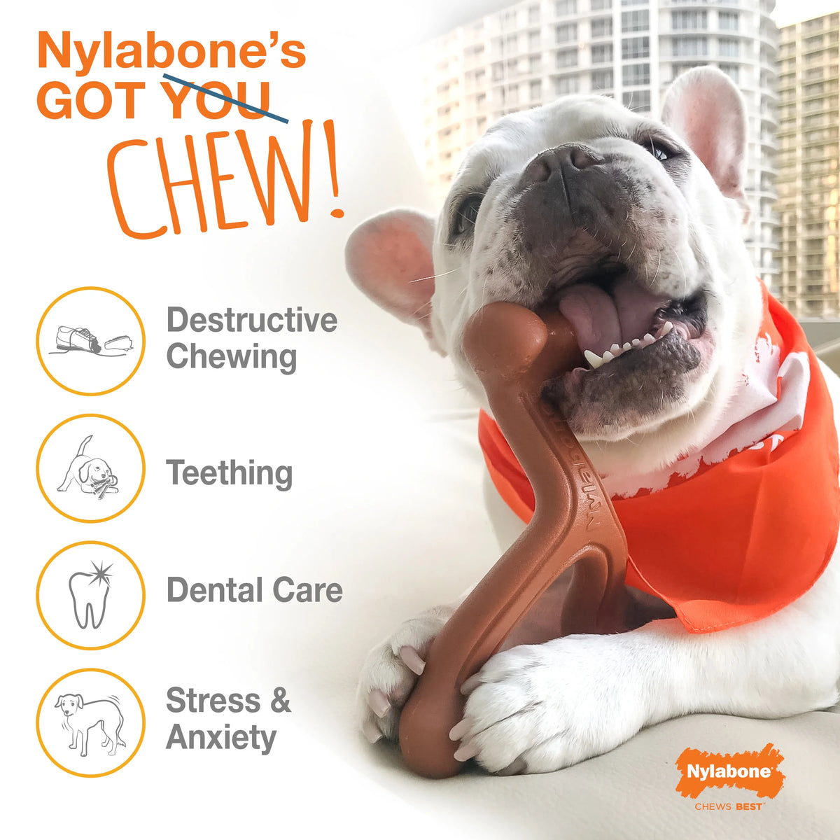 Power Chew Flavored Durable Chew Toy for Dogs X-Large (1 Count) A257