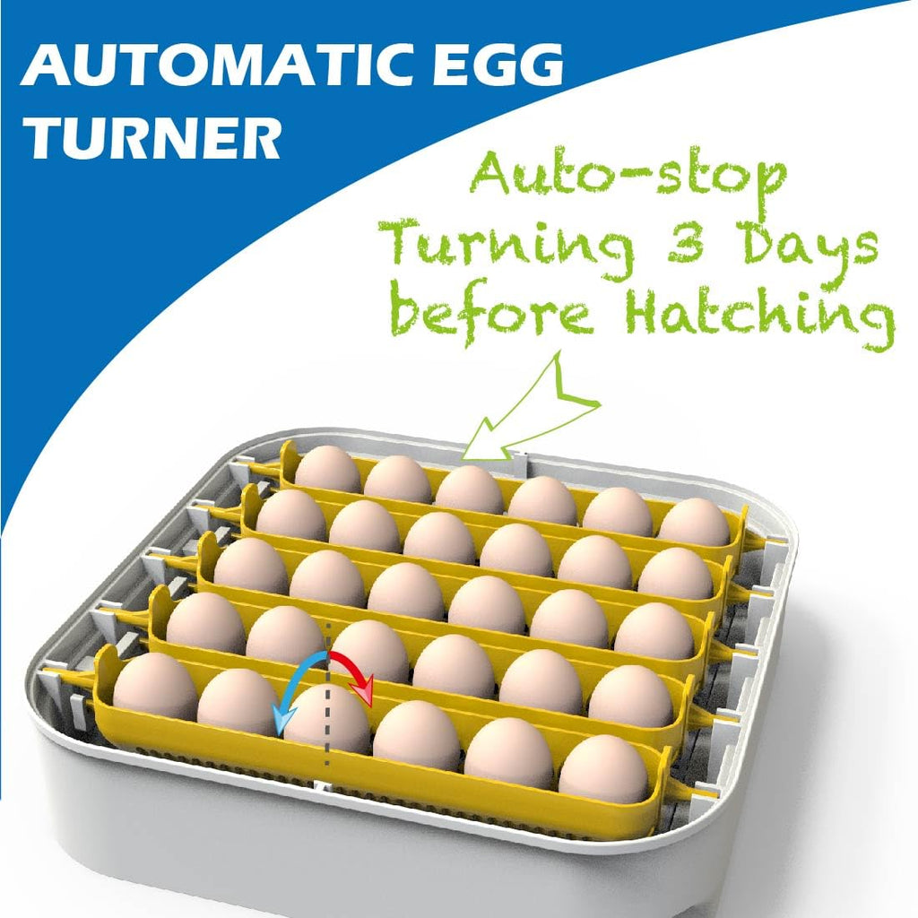 30 Egg Incubator with Humidity Display, Automatic Egg Turner I472