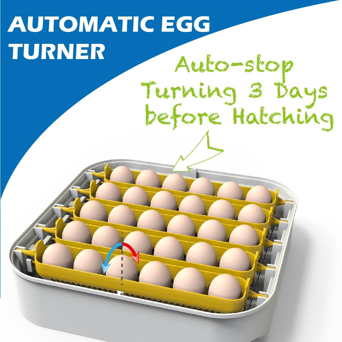 30 Egg Incubator with Humidity Display, Automatic Egg Turner I472