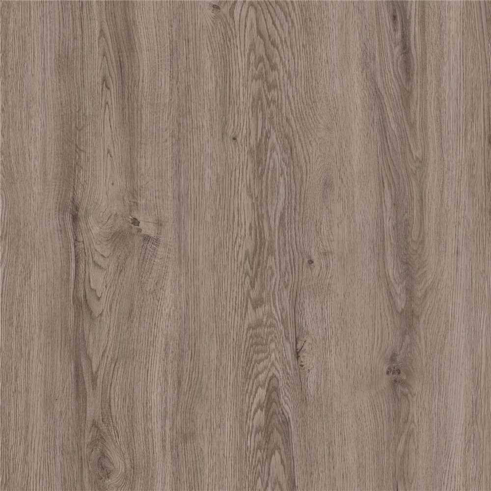 6 in. x 48 in. Silver Oak Glue Down Vinyl Plank Flooring Q937401