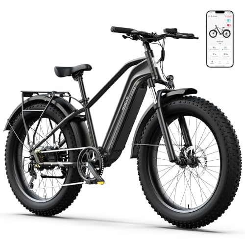 1200 W Electric Bike with 48V Battery and 26" Fat Tire P4473
