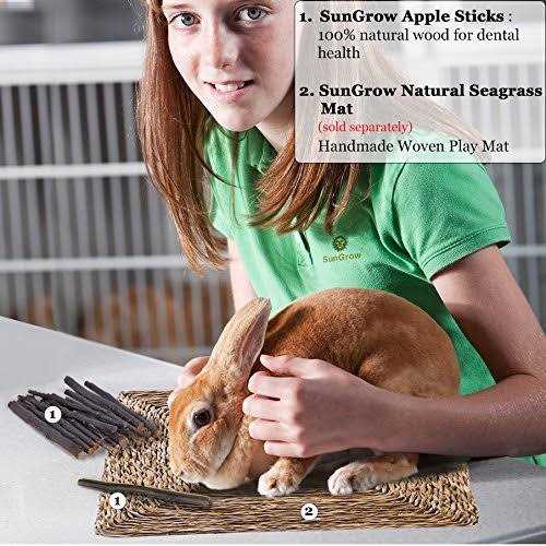 Apple Sticks 200g Wood Chew Sticks X371954