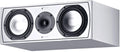 6x22 2-Way Center Channel Speaker Matte White A6322
