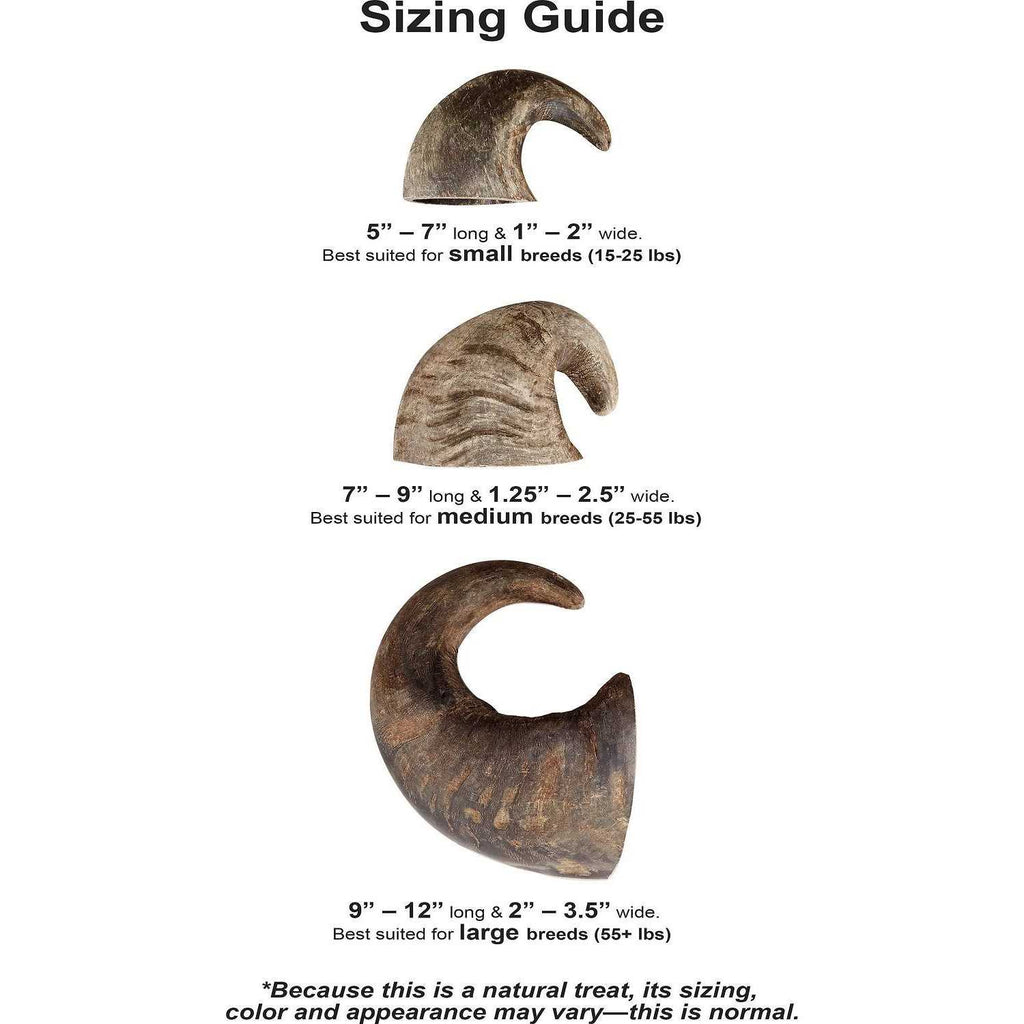 Dog Water Buffalo Horn Small J319032