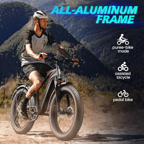 1200 W Electric Bike with 48V Battery and 26" Fat Tire P4473