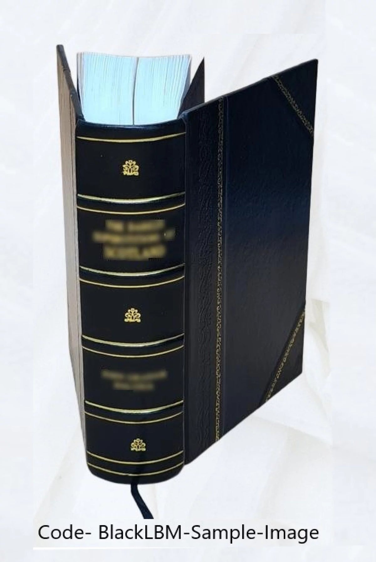 Intermediate Accounting M478208