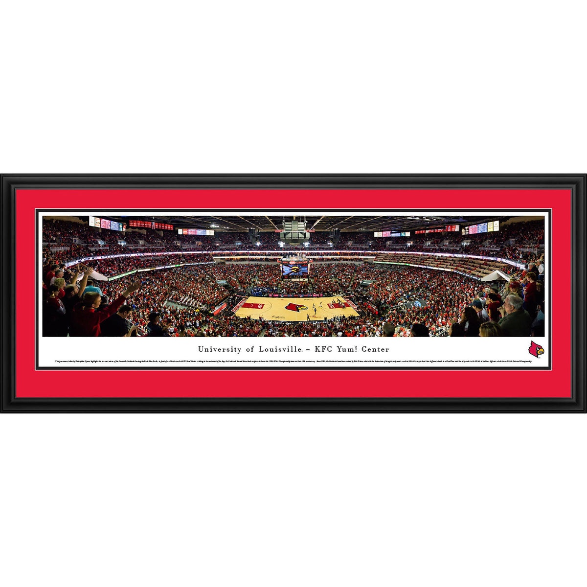 Standard Frame D834257