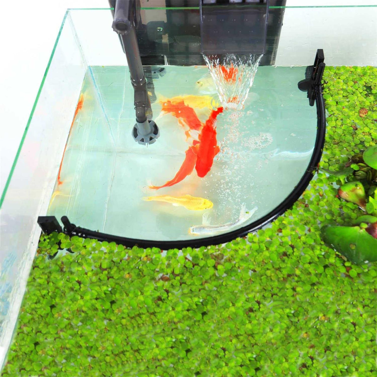 Aquarium Floating Plant Corral W266