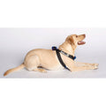 Pink Travel Safe Harness H288754