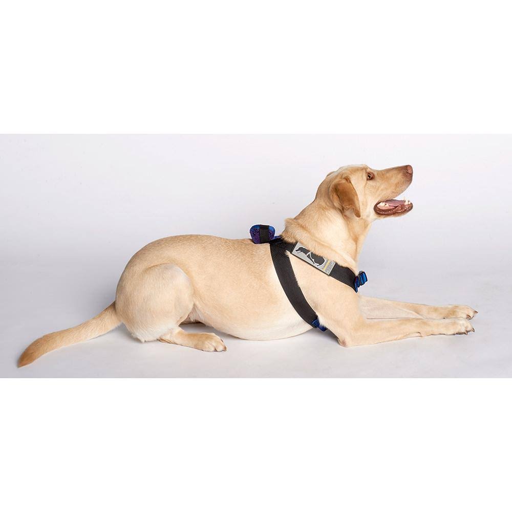Pink Travel Safe Harness H288754