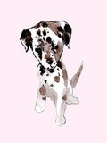 Canvas Art T7322