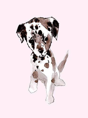 Canvas Art T7322