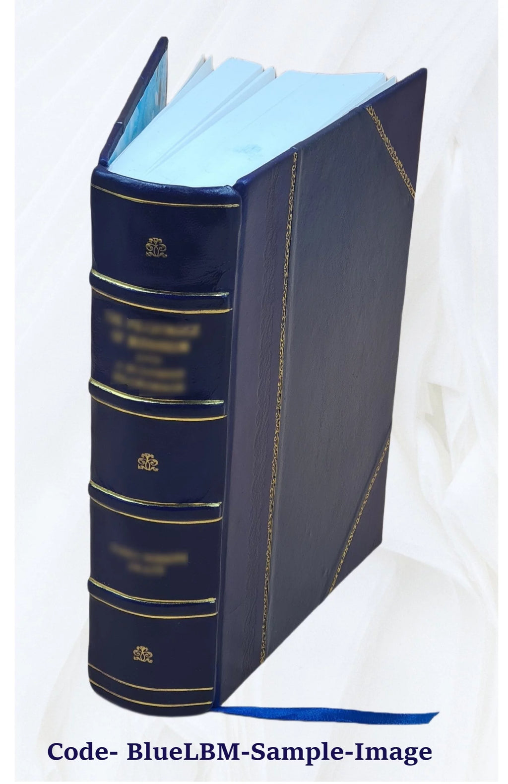 Residential Energy Consumption Leather Bound J79404
