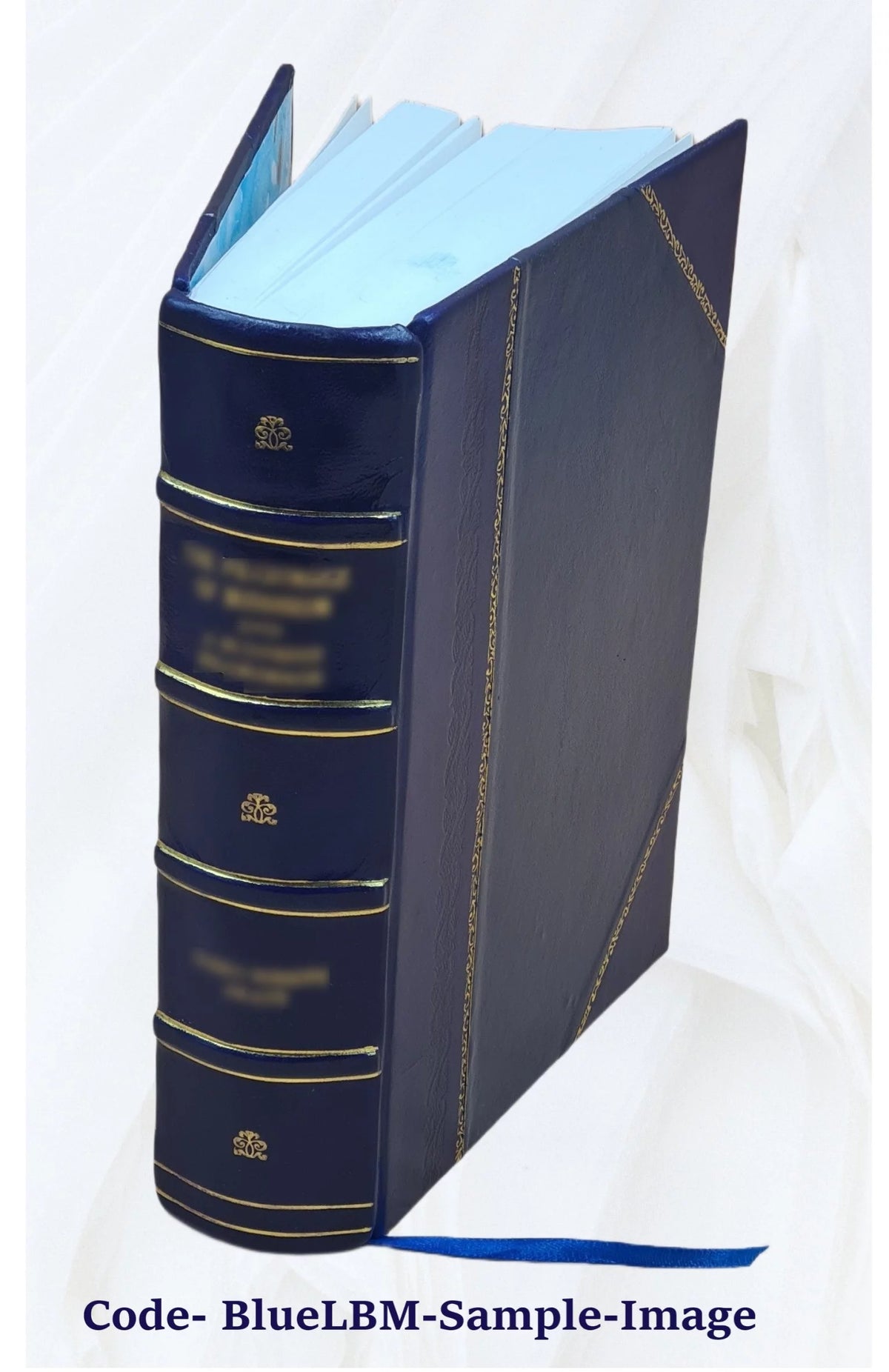 Residential Energy Consumption Leather Bound J79404