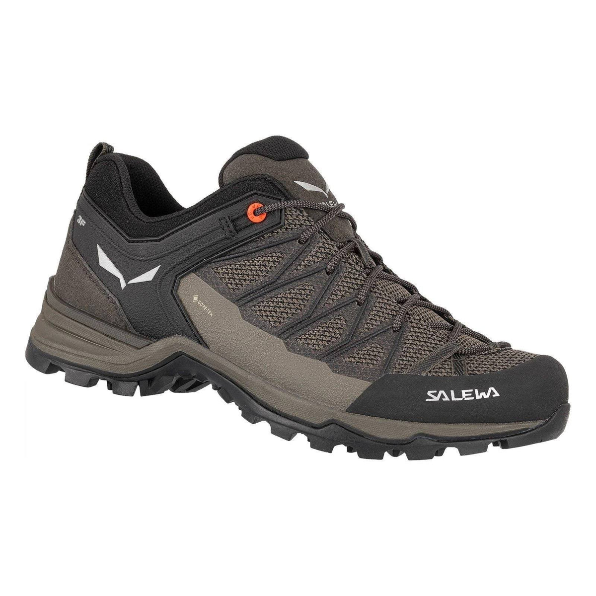 Mountain Trainer Lite GTX 11 K557