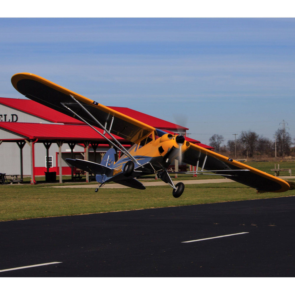 Carbon Cub 15cc ARF D1062