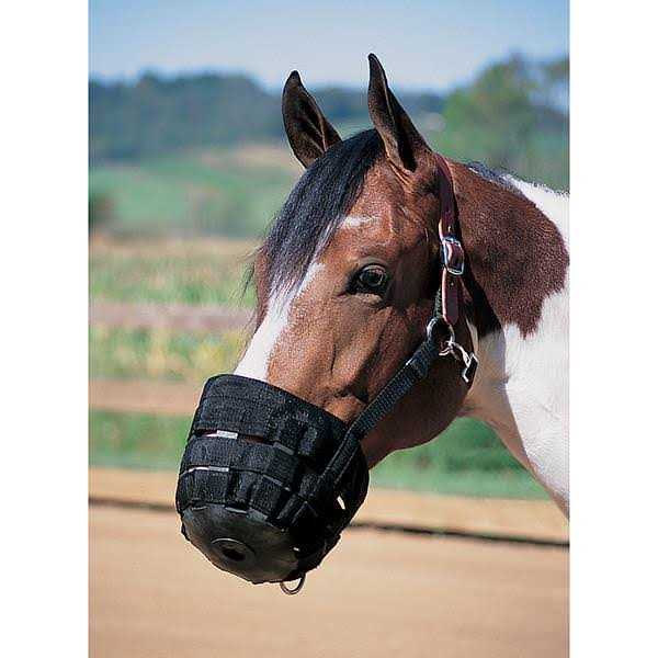 Leather Grazing Muzzle R9659