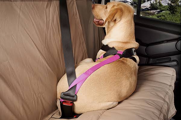Pink Travel Safe Harness H288754