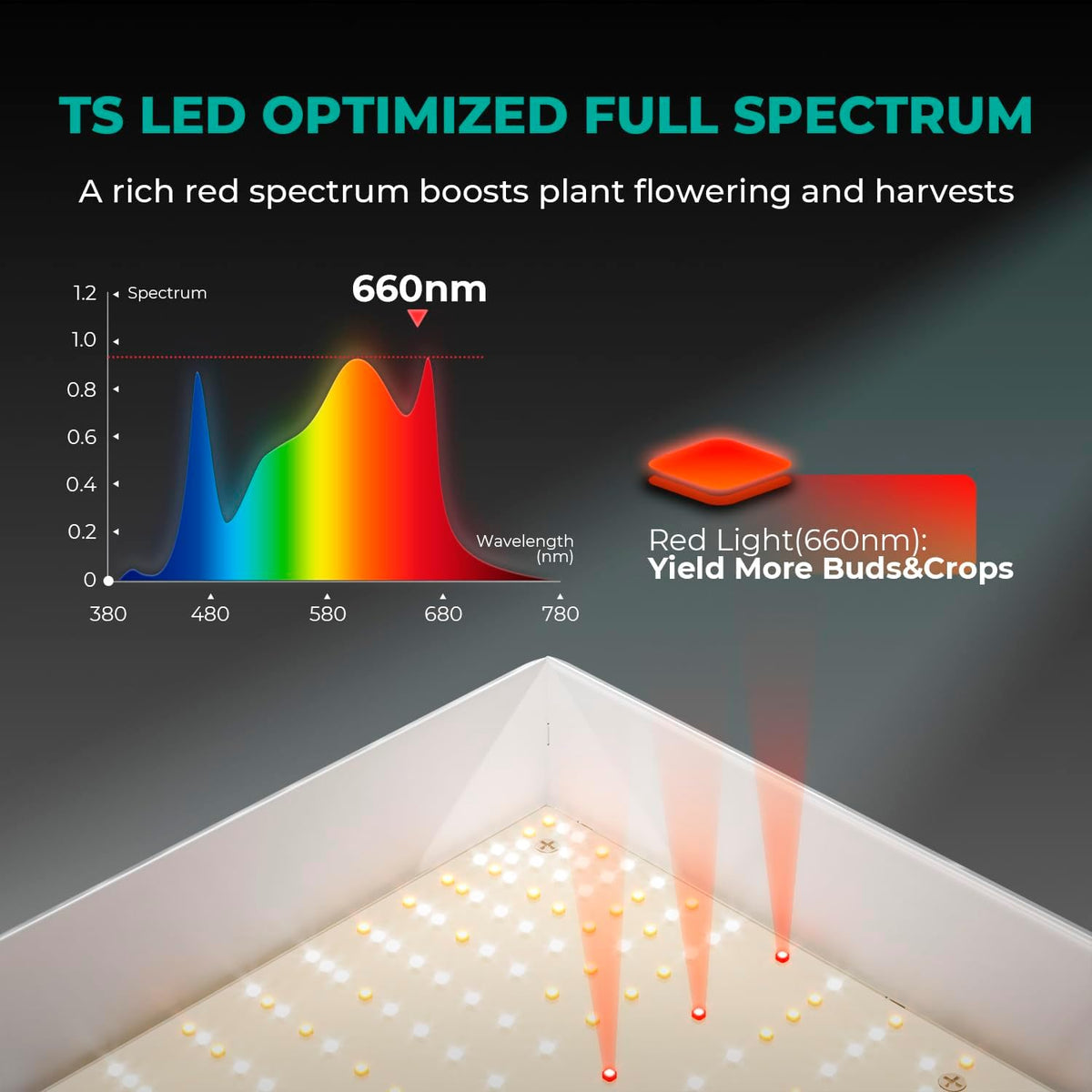 300Watt LED Grow Light U2381