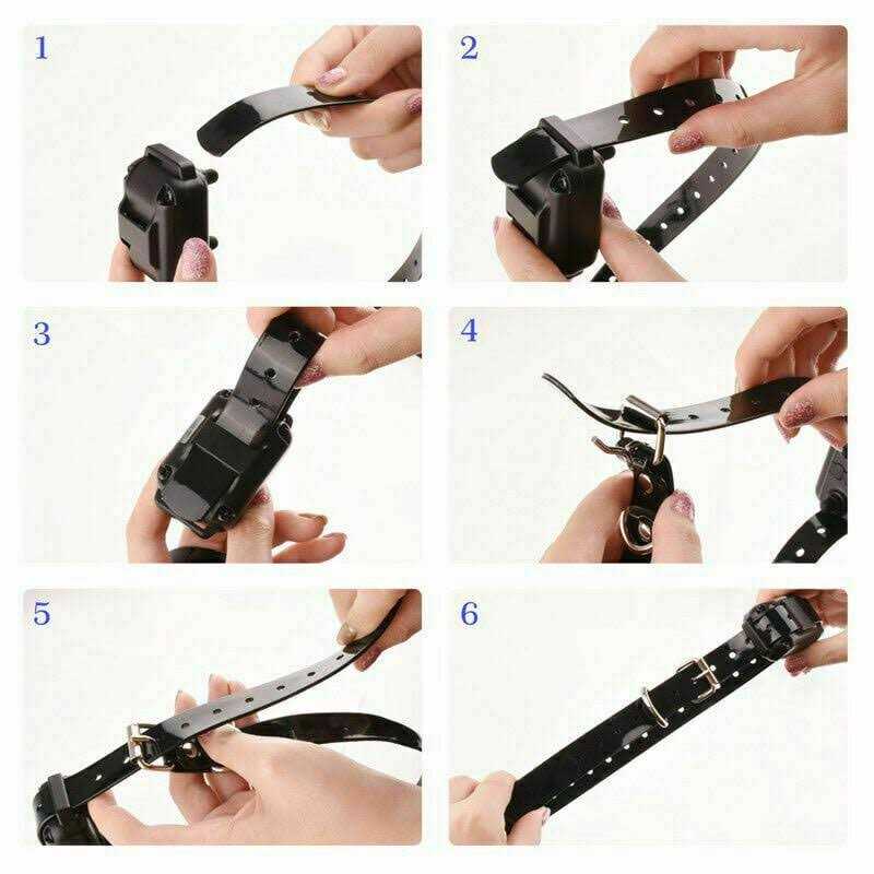 Dog Training Collar J219