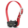 Dog Device Collar C39754