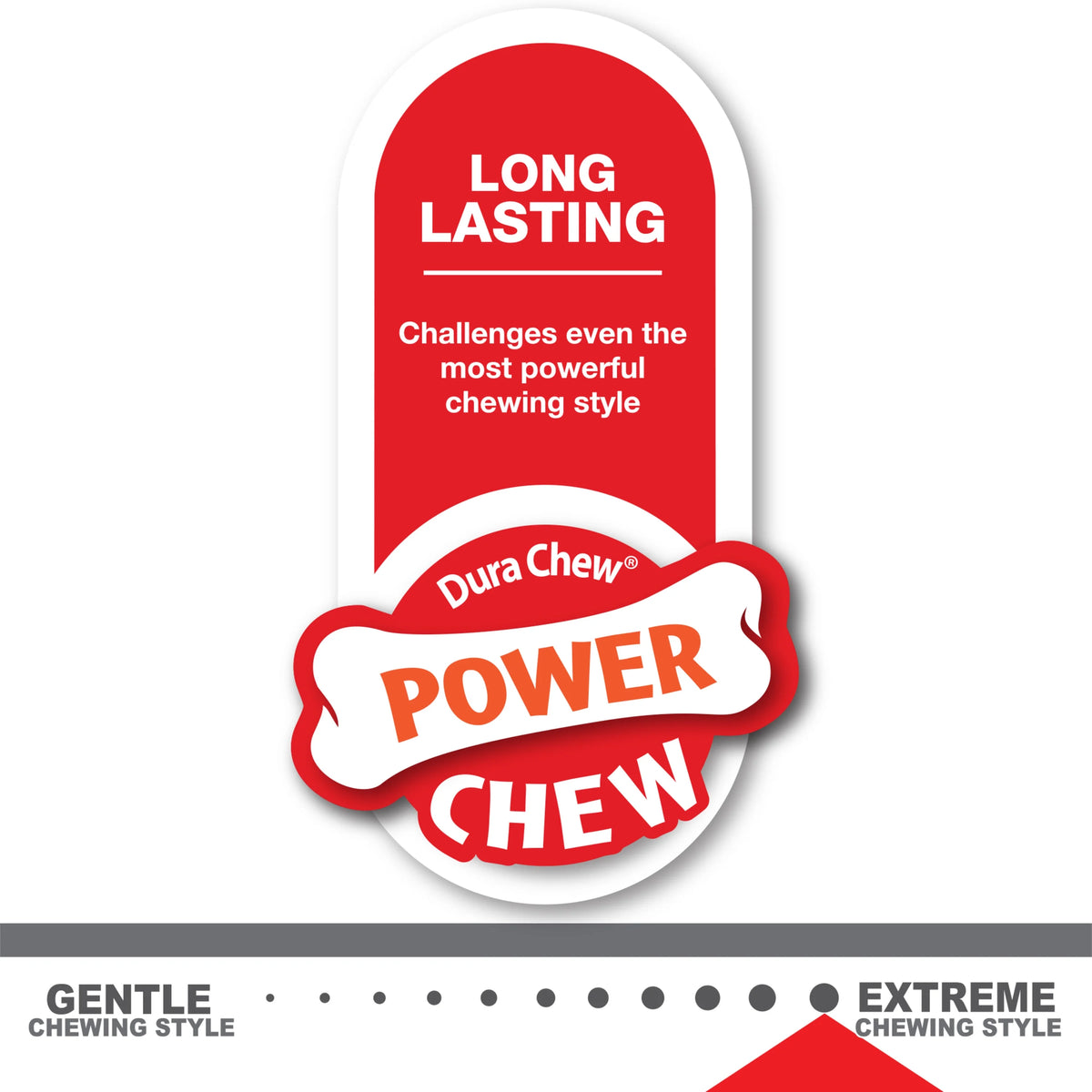 Power Chew Flavored Durable Chew Toy for Dogs X-Large (1 Count) A257