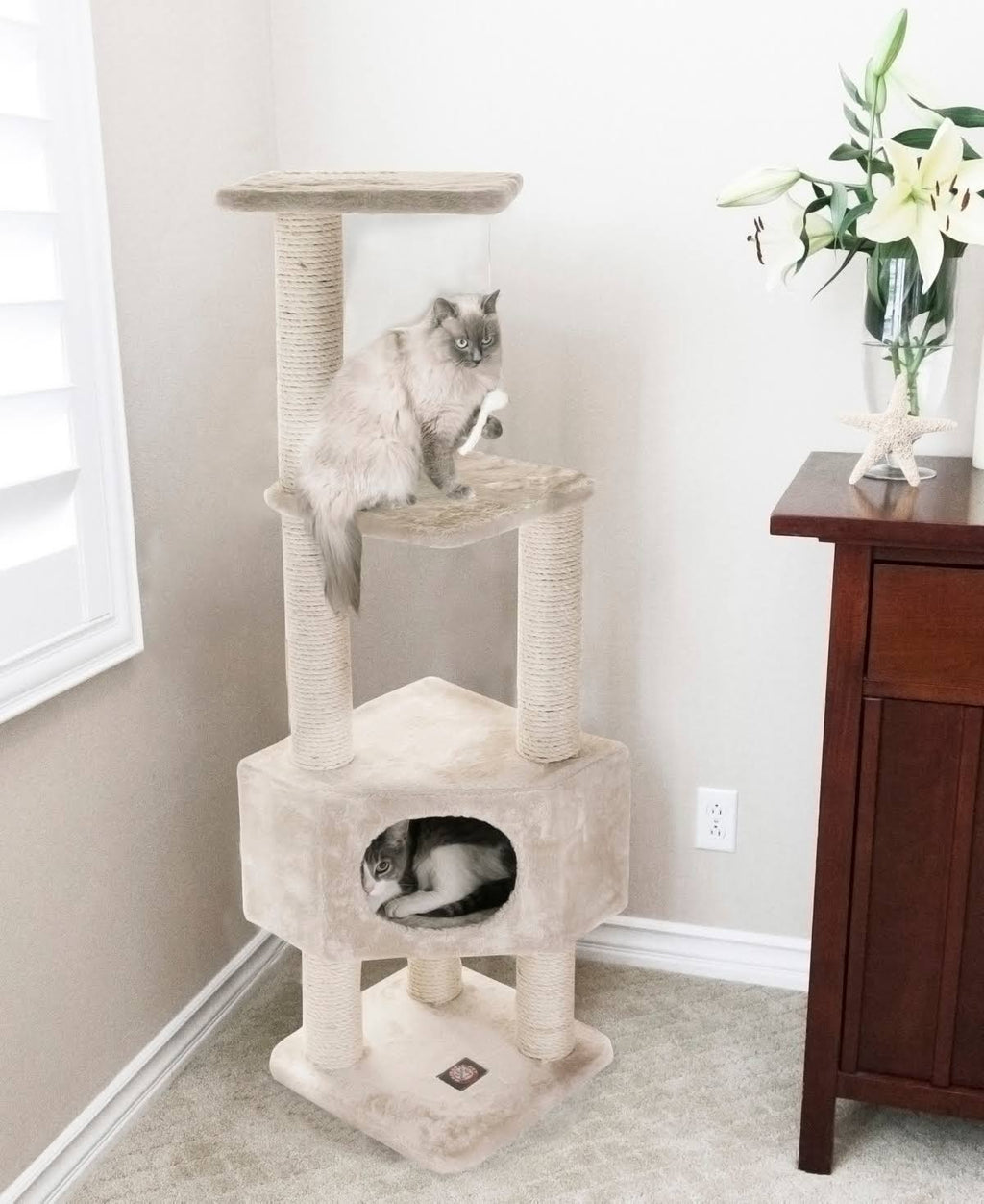 52-in. Cat Tree P48919
