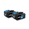 2-pack 20-Volt 4.0Ah Lithium-Ion Batteries Z942321