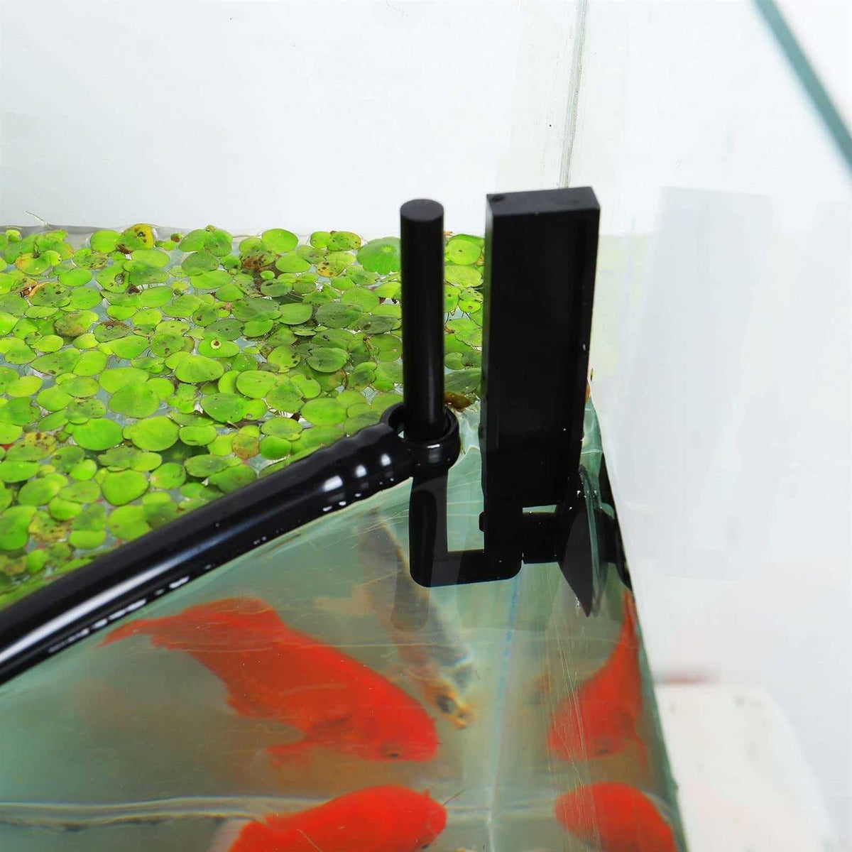 Aquarium Floating Plant Corral W266