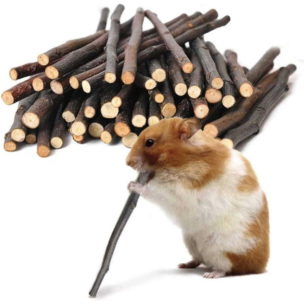 Apple Sticks 200g Wood Chew Sticks X371954