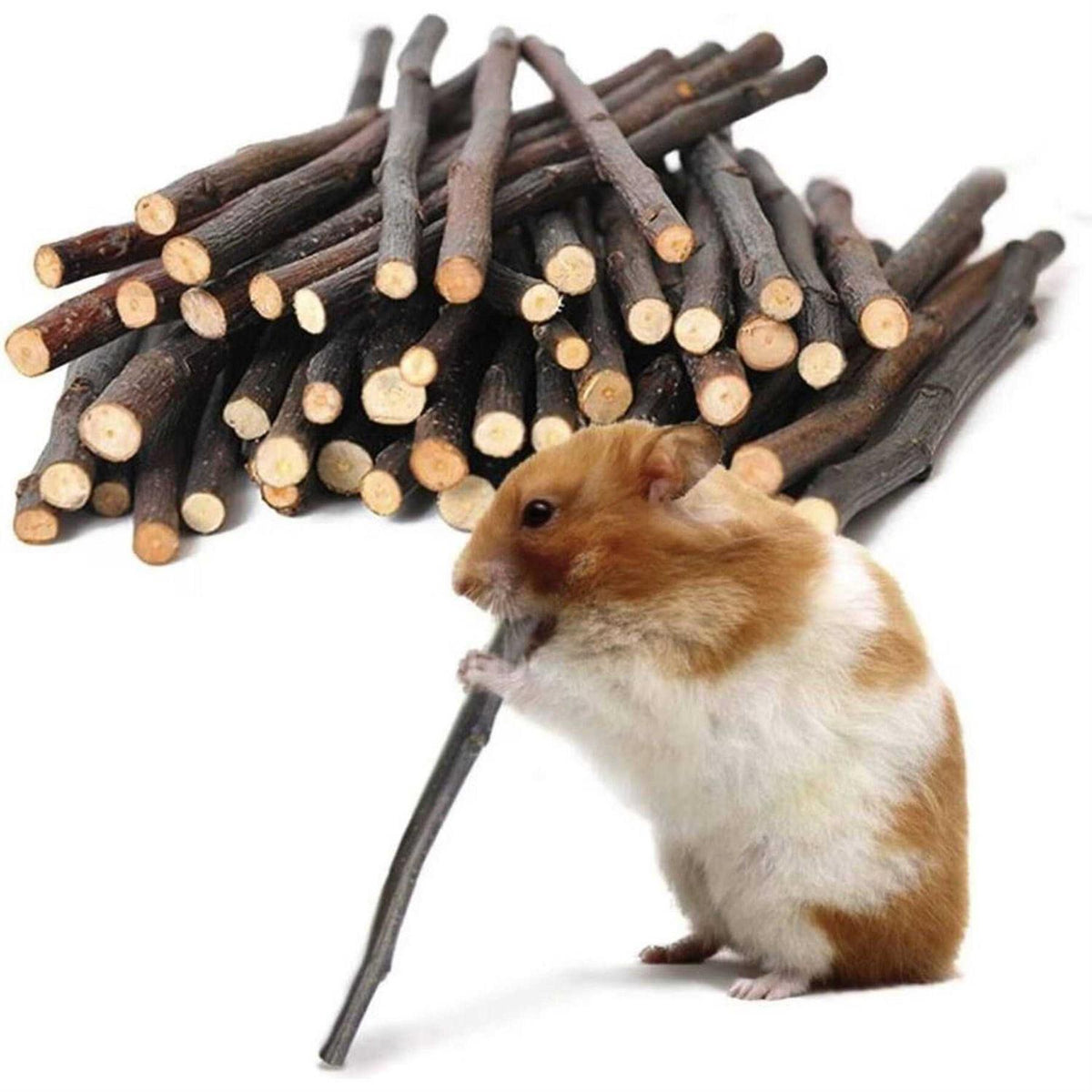 Apple Sticks 200g Wood Chew Sticks X371954