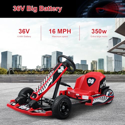 36V Electric Go Kart with 350W Motor P1267