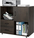 2 Drawer Wood Mobile File Cabinet with Door U99391