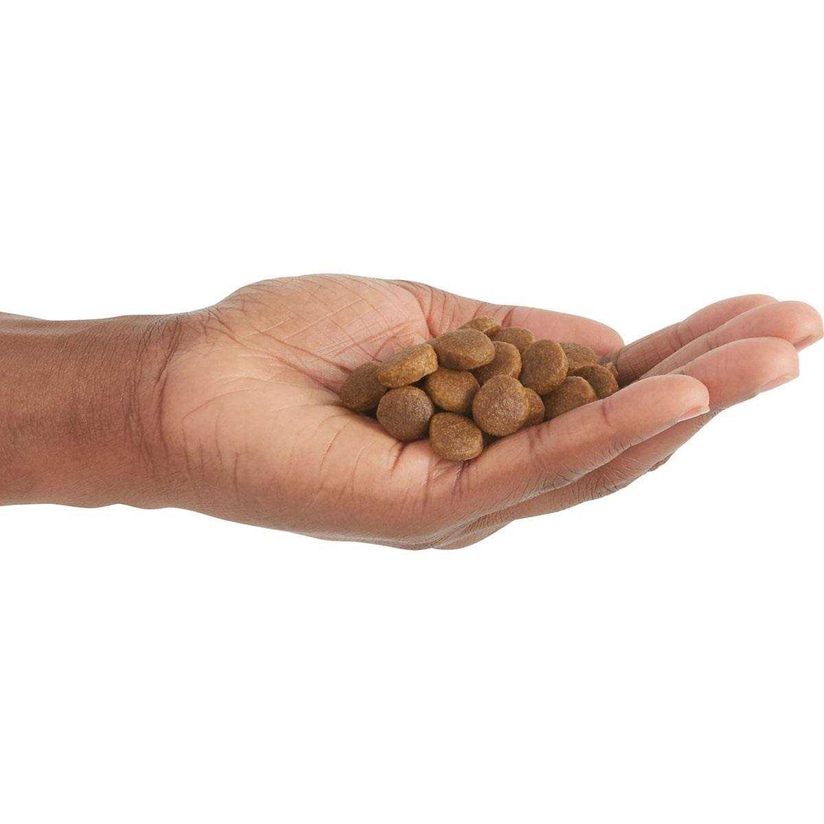 Free-Run Poultry Dry Dog Food B99584