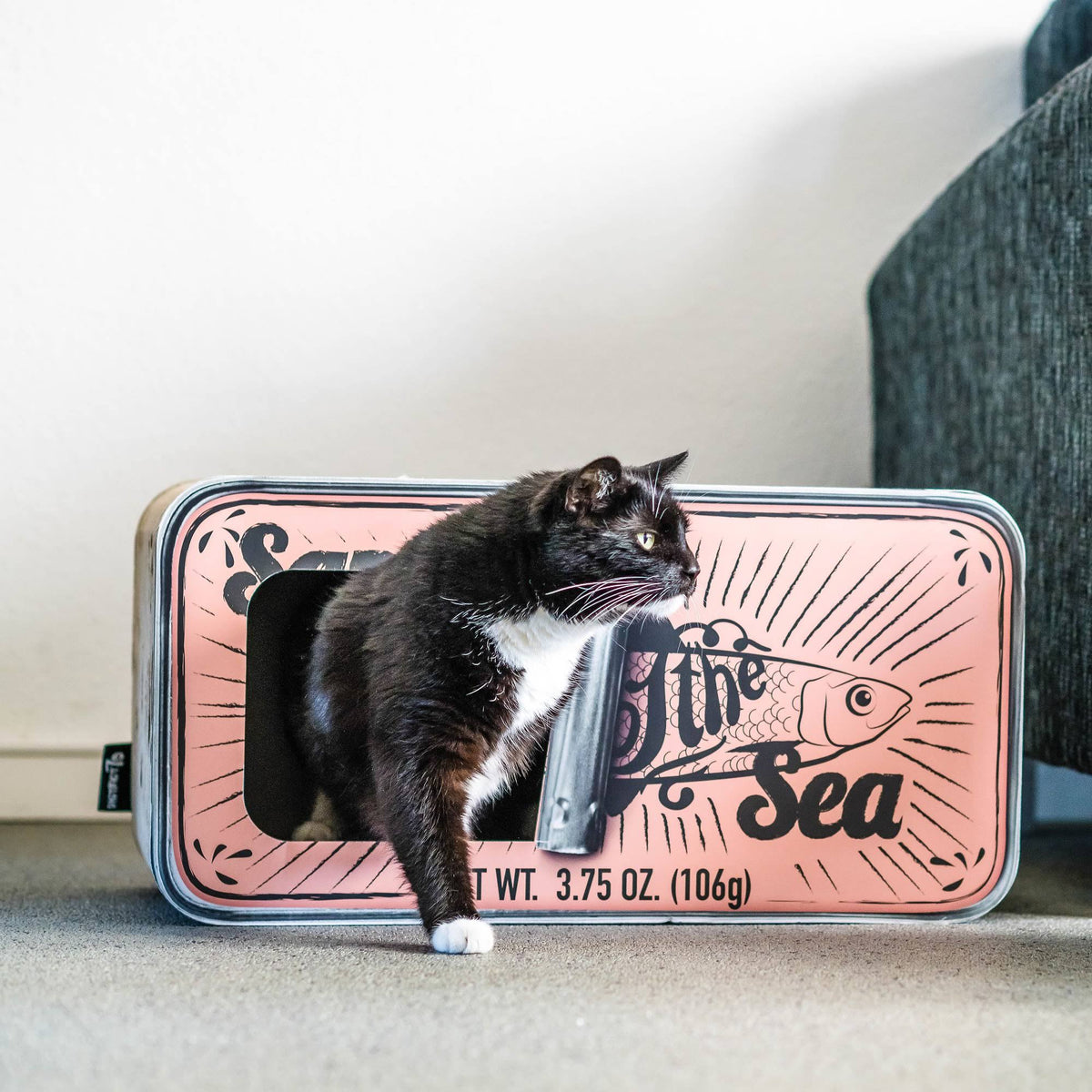 Cardboard Cat Scratcher M4078