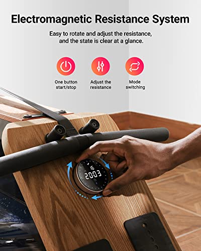 Foldable Water Rowing Machine with 400LBS Weight Capacity M7003