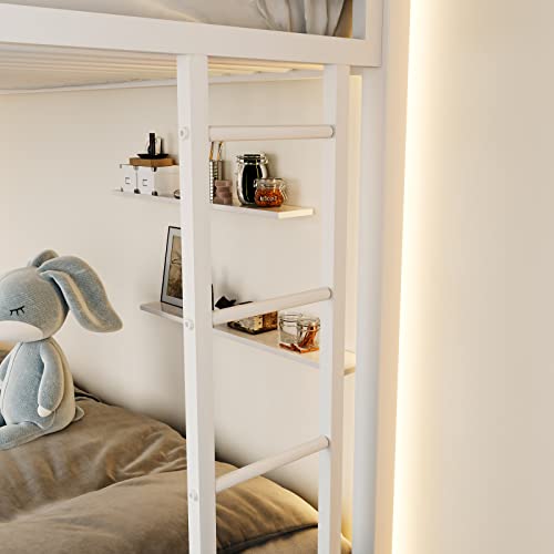 Metal Loft Bunk Bed Twin Over Twin Size with Guardrail and Ladder X7358