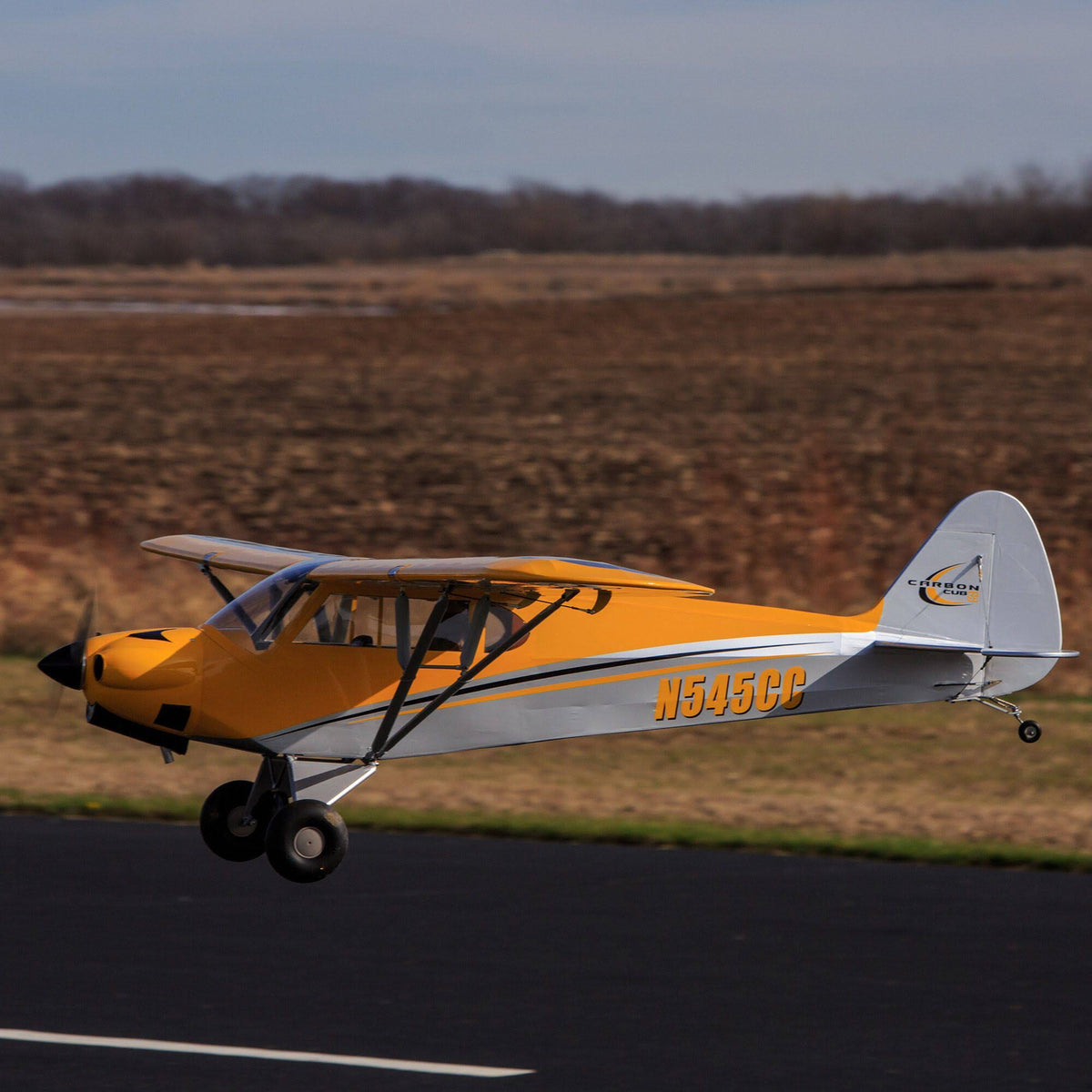 Carbon Cub 15cc ARF D1062