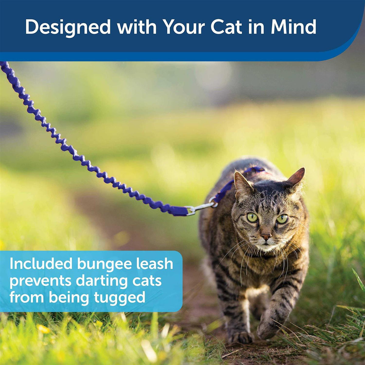 Come with Me Kitty Harness Bungee Leash H85393
