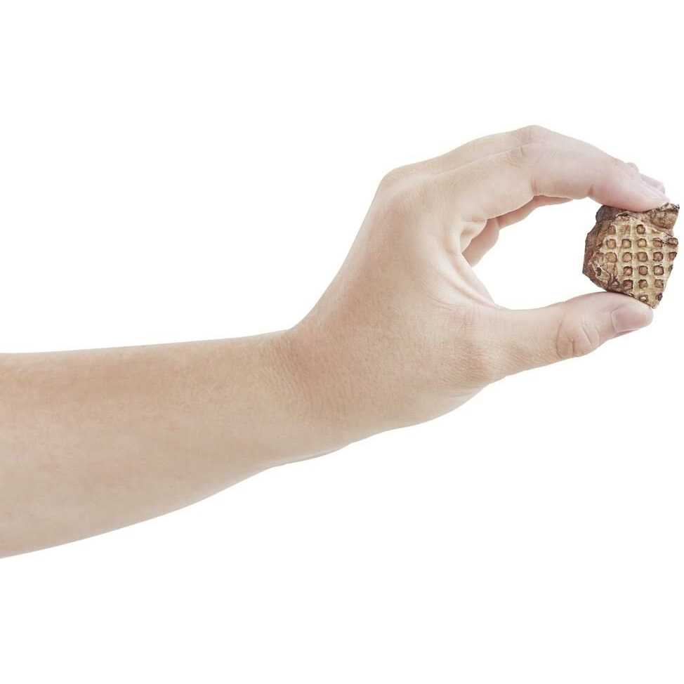 Dehydrated Beef Lung Dog Treats I614