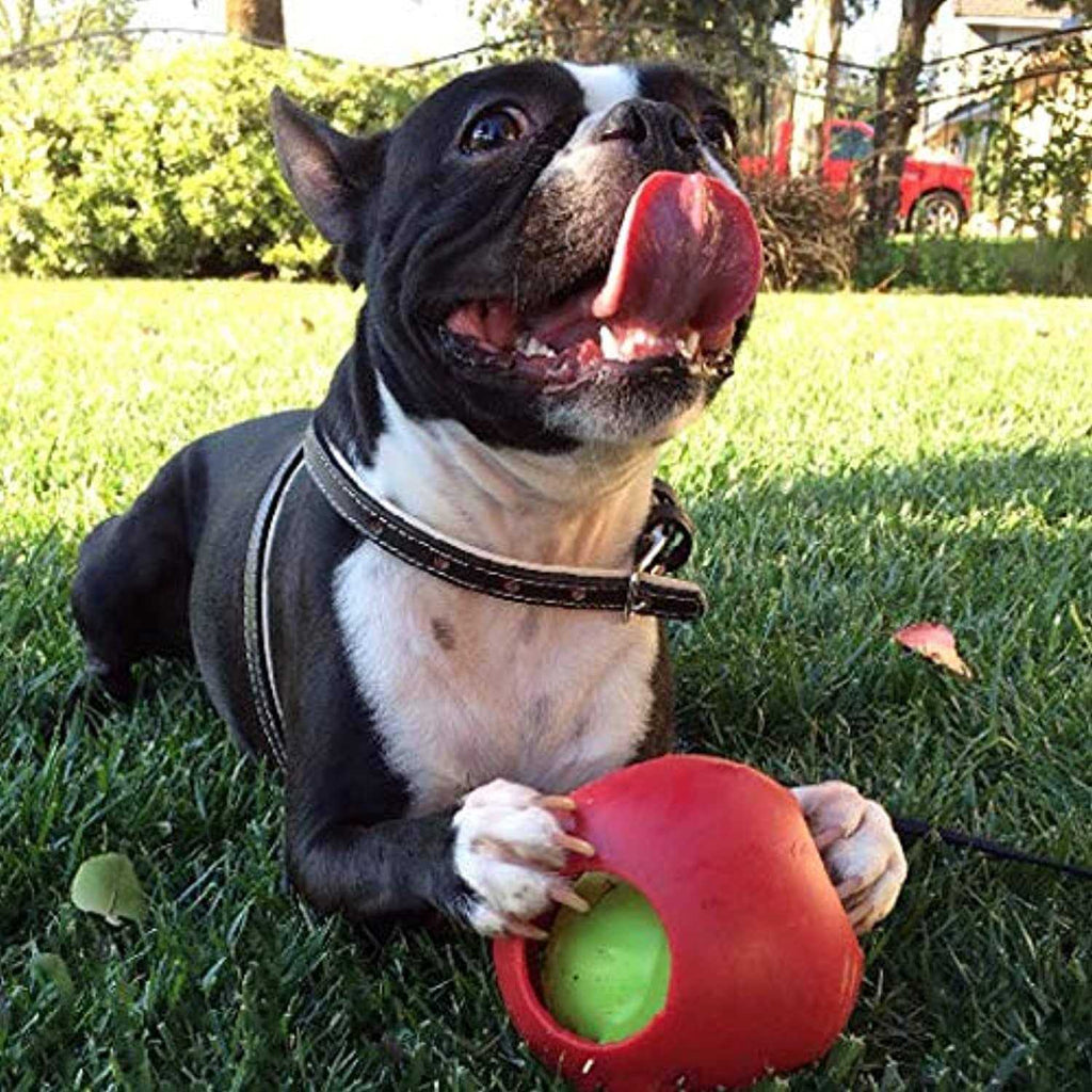 Pet Ball W616