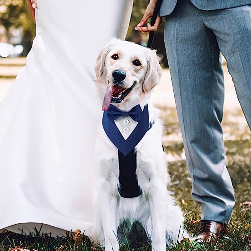 Adjustable Dog Wedding Bandana with Bow (Medium, Black) C58269