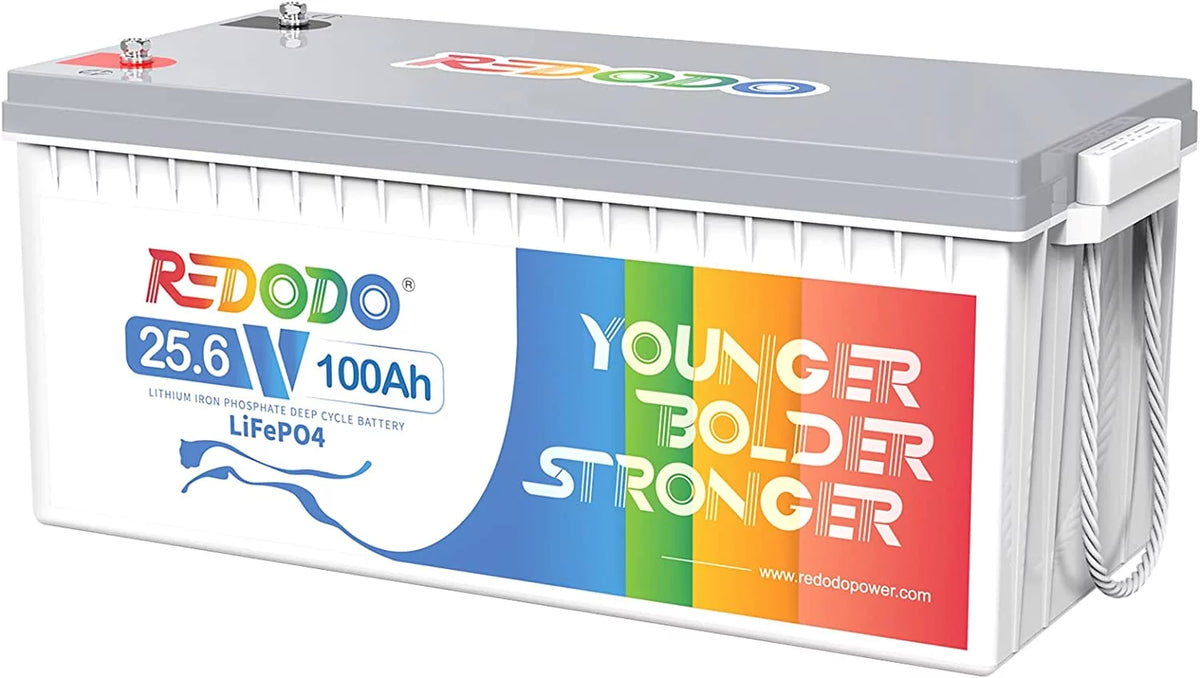 24V 100Ah LiFePO4 Lithium Battery with 100A BMS S99154