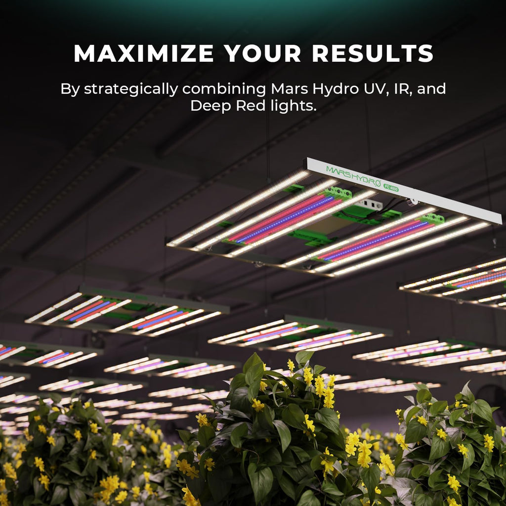 300Watt LED Grow Light U2381