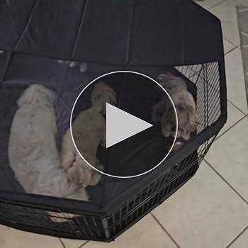 Foldable Metal Dog Playpen with Top Cover and Bottom Pad J780